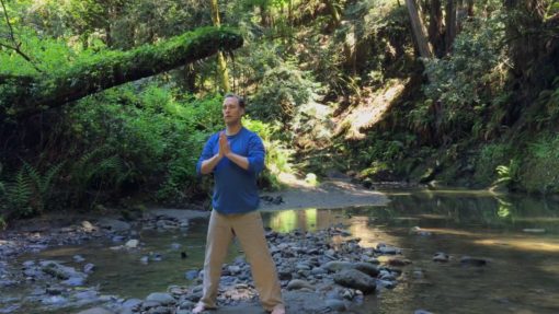 Qi Gong for Anxiety