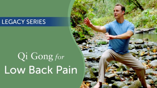 Legacy Series: Qi Gong for Low Back Pain - Holden QiGong